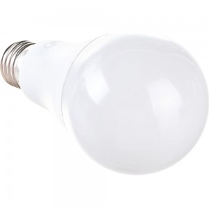 Светодиодная лампа General Lighting Systems WA60-20W-E27-690000