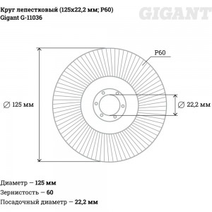 Круг лепестковый (125x22.2 мм; P60) Gigant G-11036