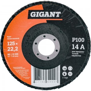 Круг лепестковый (125x22.2 мм; P100) Gigant G-11038