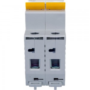 Автоматический выключатель IEK ВА47-29 2п, 50А, С, 4.5кА, MVA20-2-050-C