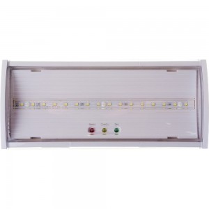 Аварийный светильник IEK, ДПА 5040-3, NI-CD, постоянного действия, 3ч, IP54, LDPA0-5040-3H-K01