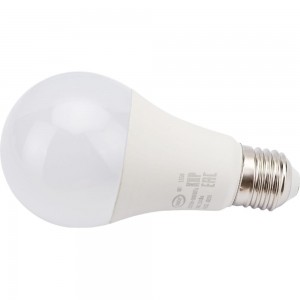 Светодиодная лампа IONICH общего назначения ILED-SMD2835-A65-24-2160-230-6.5-E27 1558