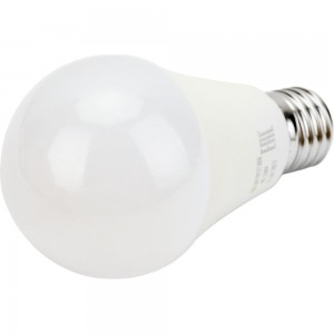 Лампа Jazzway специальная PLED-A60 11W E27 5000K 980Lm 90-260V 5005549