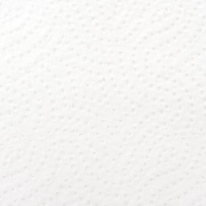 Бумажные полотенца ЛАЙМА белые, 2 слоя, 2 рулона, 22х23см 126906