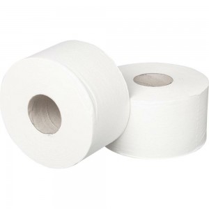 Туалетная бумага Luscan Professional 2-слойная, 12 рулонов 880886