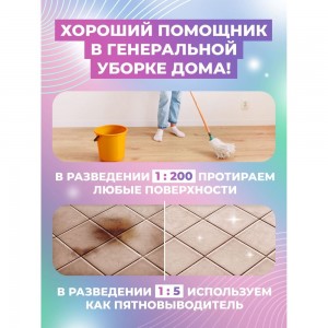 Концентрат для уборки без разводов МАСТЕРХИМ ГЛАМУР 5 л 001НБп5