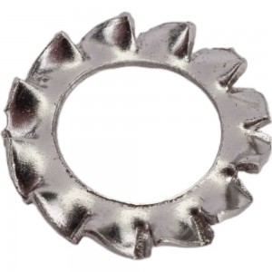 Зубчатая шайба Невский Крепеж DIN 6798A, нерж. сталь, M6, 10 шт. 826356