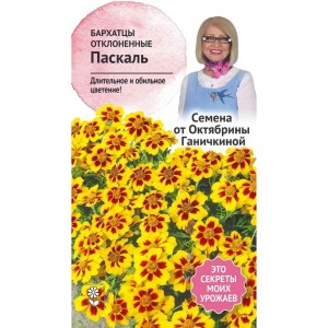 Семена ОКТЯБРИНА ГАНИЧКИНА Бархатцы Паскаль 0.15 г 118850