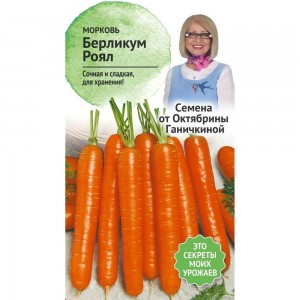 Семена ОКТЯБРИНА ГАНИЧКИНА Морковь Берликум Роял 2 г 119116