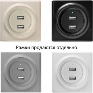 Двойная usb розетка OneKeyElectro 2260089 