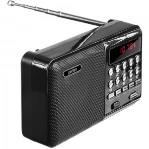 Радиоприемник цифровой Perfeo PALM черный 30012772