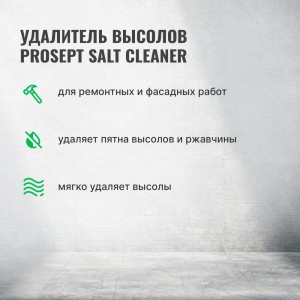 Удалитель высолов PROSEPT SALT CLEANER 1 л 021-1