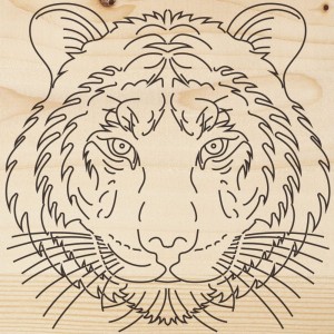 Доска для выжигания REXANT Тигр 12-0903