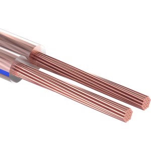 Акустический кабель REXANT 2х0,25 кв.мм прозрачный BLUELINE 01-6201-3-10