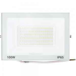 Светодиодный прожектор REXANT LED 100 Вт 8000 Лм 5000 K белый корпус 605-027