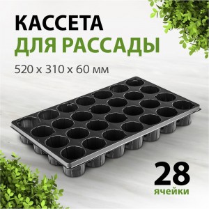 Кассета для рассады Россия 64312 