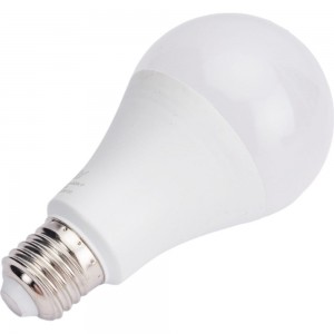 Светодиодная лампа RSV A65-20W-6500K-E27 P 100428