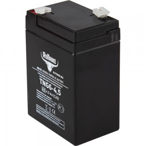 Аккумуляторная батарея Rutrike TNG6-4,5 (6V4,5A/H C20) 023980