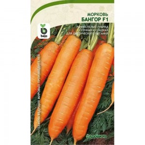 Семена САДОВИТА Морковь Бангор F1 150 семечек 00192749