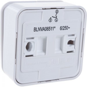 2-клавишный выключатель с подсветкой Schneider Electric BLANCA, О/У, 6А, 250B, белый BLNVA065111