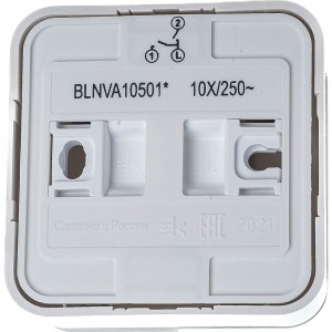 2-клавишный выключатель Schneider Electric Blanca открытой установки с изолирующей пластиной Белый 10А BLNVA105011