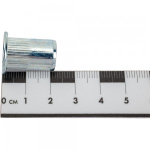 Резьбовая заклепка STARFIX М10 цилиндрический бортик, белый цинк, 10 шт. SMZ1-48532-10