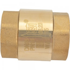 Обратный пружинный клапан STI Ду25 Ру16 латунный с пластиковым штоком D100-01357
