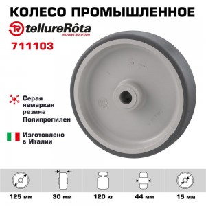 Колесо (125 мм; 120 кг) Tellure Rota 711103