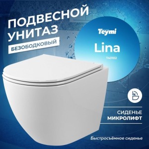 Подвесной унитаз Teymi Lina S безободковый, сиденье микролифт T40102 ЦБ-00260333