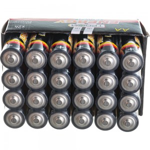 Батарейки Трофи LR6-24 bulk Б0035376