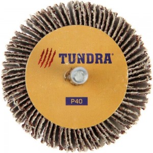 Круг лепестковый радиальный (60х20х6 мм; Р40) TUNDRA 1875462
