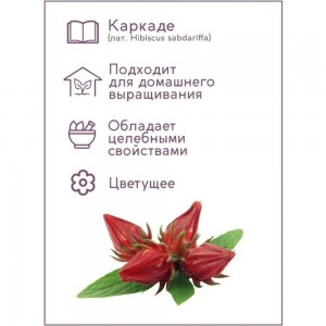 Набор для выращивания растений Каркаде Тысяча Листьев Гибискус сабдариффа tl-006