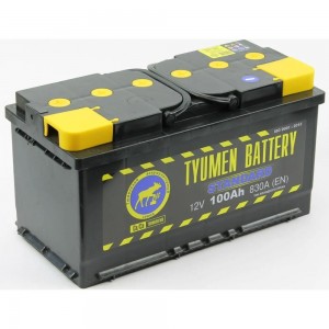 Аккумуляторная батарея TYUMEN BATTERY Тюмень standard 6ст -100.1 l TNS100.1