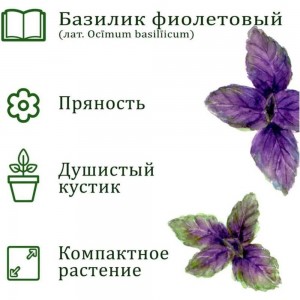 Набор для выращивания растений Вырасти,Дерево! Базилик фиолетовый zk-123