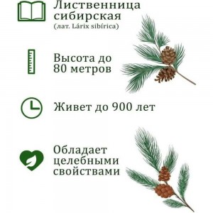 Набор для выращивания растений Вырасти,Дерево! Лиственница сибирская zk-049