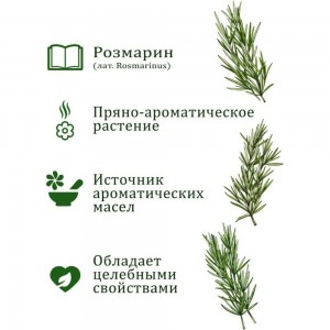 Набор для выращивания растений Вырасти,Дерево! Розмарин zk-036